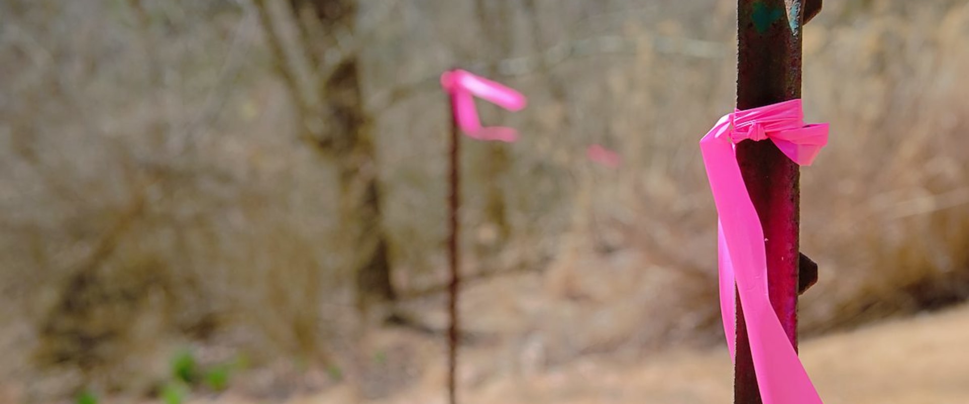 Measuring and Marking Property Lines