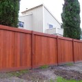 Applying Stain to a Fence