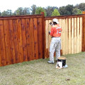 Staining a Wood Fence: Everything You Need to Know